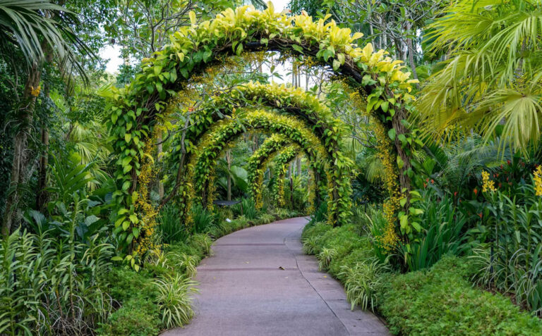 land-scape-garden